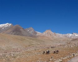 Photographie de l'exposition "L'arc du Kohistan-Ladakh"