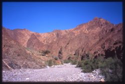 Photographie de l'exposition "L'océan dans les montagnes d'Oman"