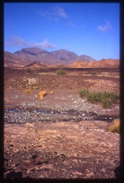 Photographie de l'exposition "L'océan dans les montagnes d'Oman"