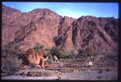 Photographie de l'exposition "L'océan dans les montagnes d'Oman"