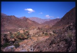 Photographie de l'exposition "L'océan dans les montagnes d'Oman"