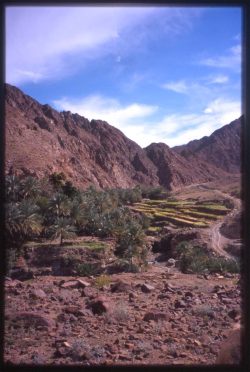 Photographie de l'exposition "L'océan dans les montagnes d'Oman"