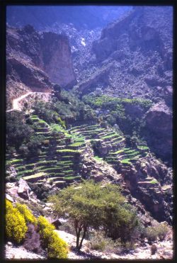 Photographie de l'exposition "L'océan dans les montagnes d'Oman"