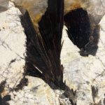 Photographie descriptive de la pegmatite