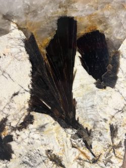 Pegmatite