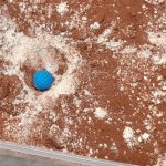 Evénement Lire en Fête en Moselle - 2022