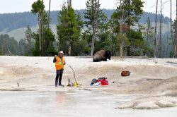 Exposition de photographies de Yellowstone (David Bekaert)