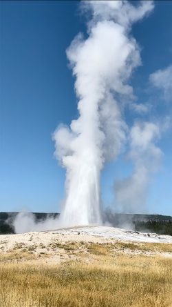 Exposition de photographies de Yellowstone (David Bekaert)