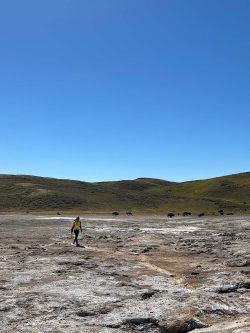 Exposition de photographies de Yellowstone (David Bekaert)