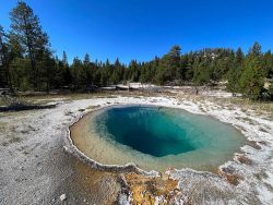 Exposition de photographies de Yellowstone (David Bekaert)