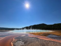 Exposition de photographies de Yellowstone (David Bekaert)