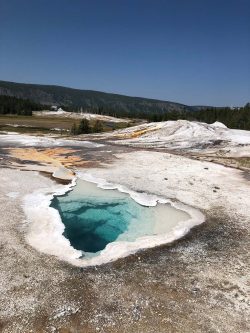 Exposition de photographies de Yellowstone (David Bekaert)