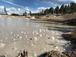 Exposition de photographies de Yellowstone (David Bekaert)