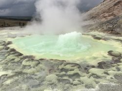 Exposition de photographies de Yellowstone (David Bekaert)