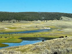 Exposition de photographies de Yellowstone (David Bekaert)