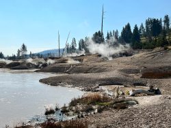 Exposition de photographies de Yellowstone (David Bekaert)
