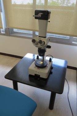 Atelier avec les enfants au CHU Brabois, juin 2023