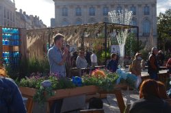 Photos : participation de David Bekaert aux Jardins Ephemeres le 15 oct 2023