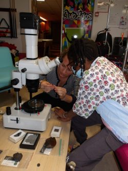 Atelier Ptits Cueilleurs d'Etoiles à l'hôpital d'enfants du CHU Brabois - octobre 2023