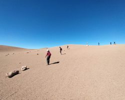 Exposition de photographies de l'Atacama (Camille Cartier)
