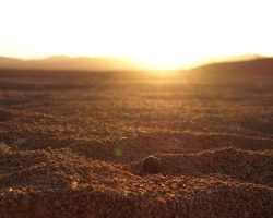 Exposition de photographies de l'Atacama (Camille Cartier)