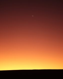 Exposition de photographies de l'Atacama (Camille Cartier)