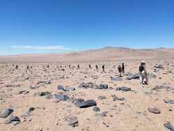 Exposition de photographies de l'Atacama (Camille Cartier)
