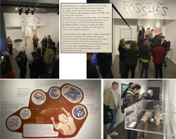 Exposition Fossiles au Muséum Aquarium de Nancy