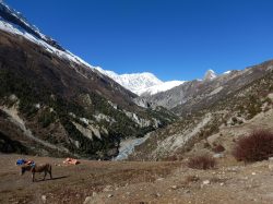 Exposition de photographies du Massif des Annapurnas (Jérôme Lavé et Marius Huber)