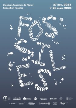 Affiche de l'exposition Fossiles au Muséum Aquarium de Nancy